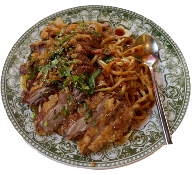 UDON-NUDELN